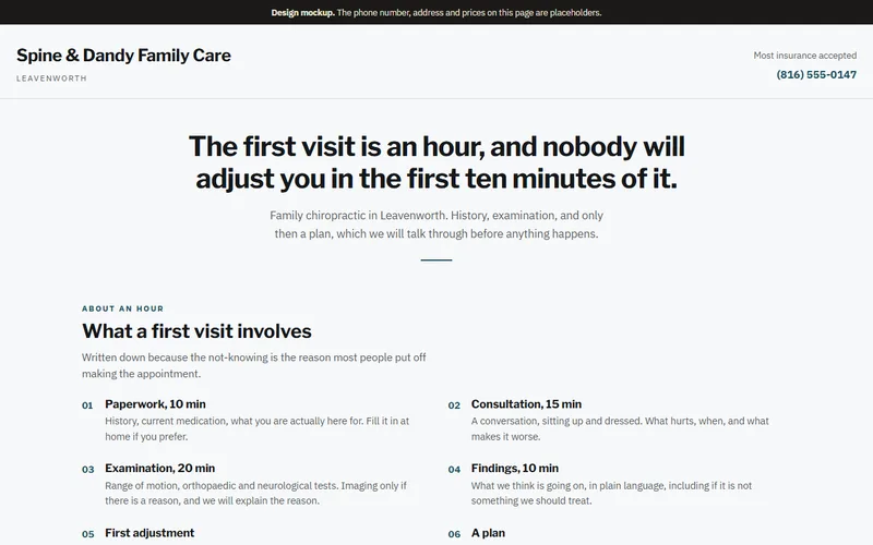 Screenshot of the Spine & Dandy Family Care website